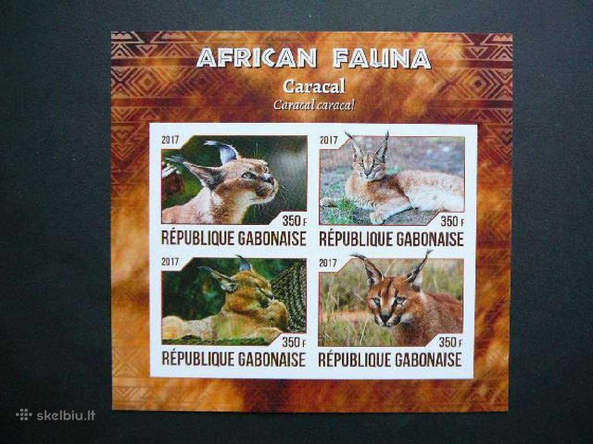 Karakalai Kates laukines Gabonas 2017 Mnh gb383