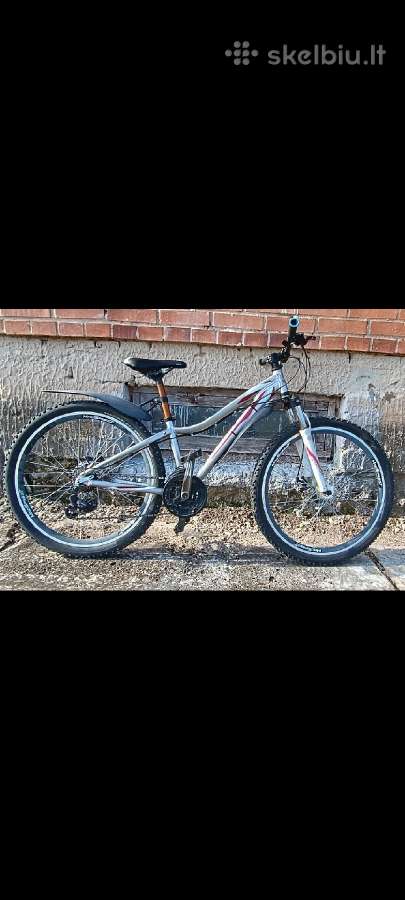 Specialized Dviratis