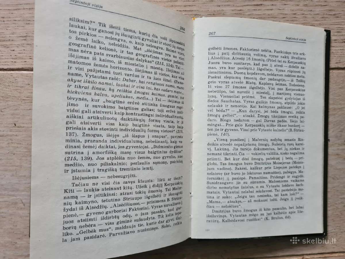 Regėjimų naktis. Vytauto Mačernio gyvenimas - nuotraukos Nr. 7