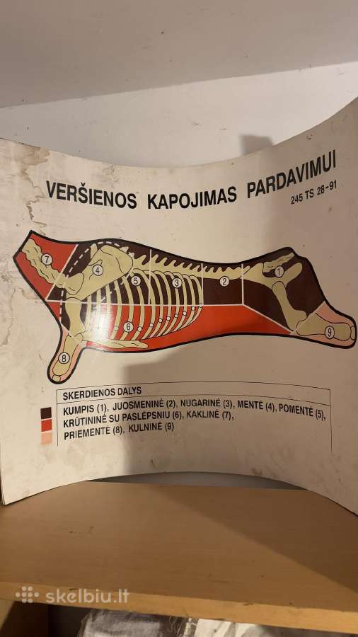 Sendaikciai - nuotraukos Nr. 13