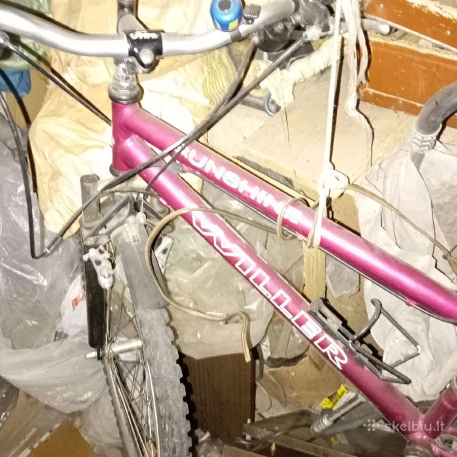 Vaikui ar Paugliui (Shimano