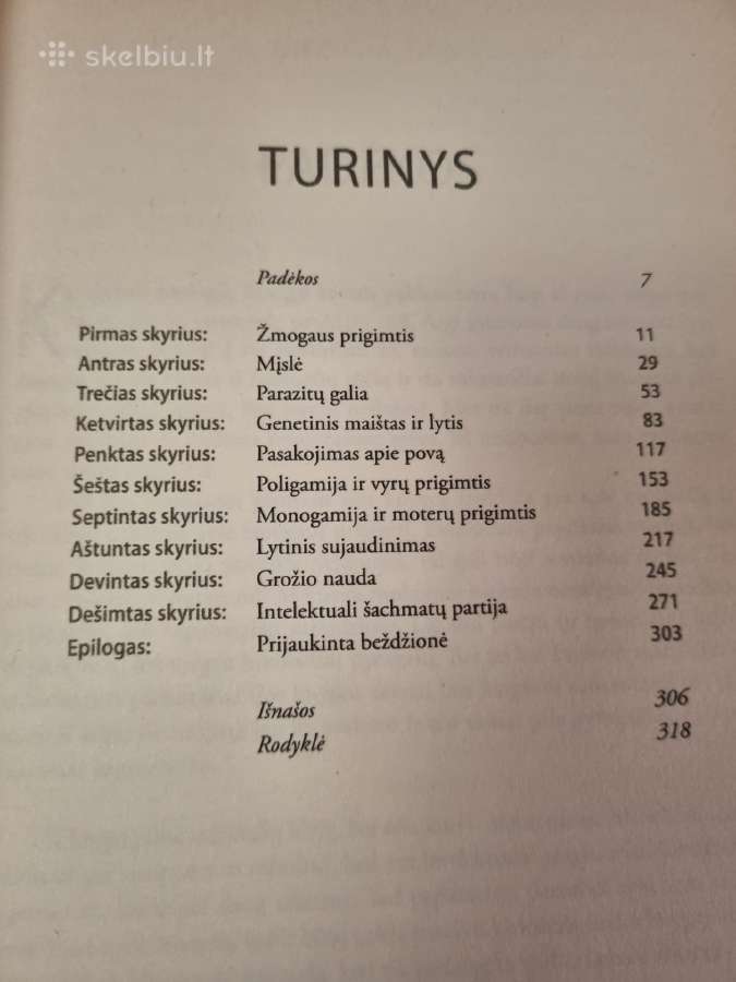 Raudonoji karalienė - nuotraukos Nr. 3