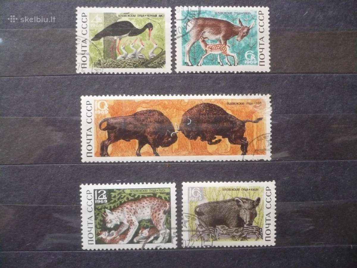 1969 m. Fauna – Belovežo Puščios nacionalinis park