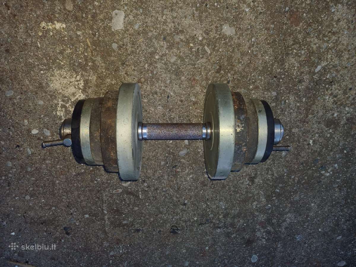 Hantelis 20 kg