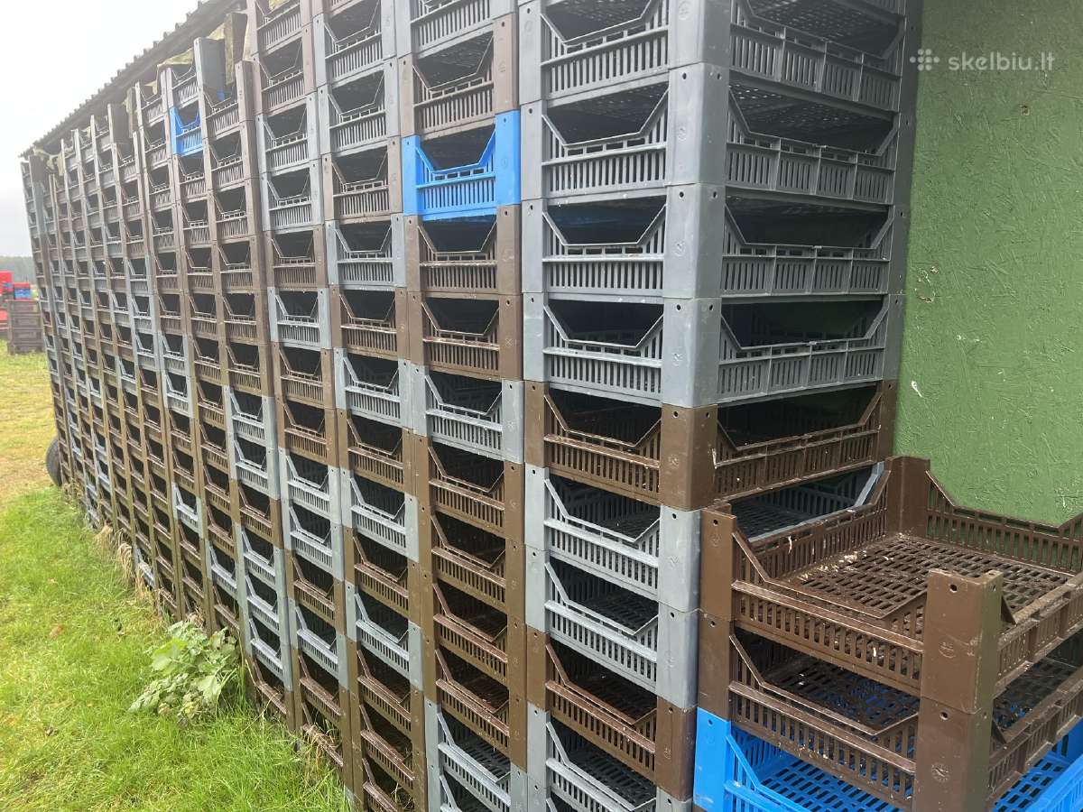 Plastikinės dėžės (grybams , uogoms )