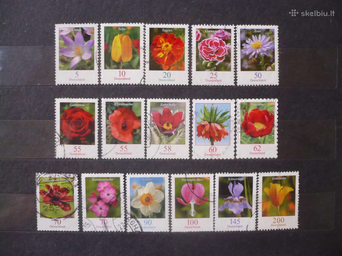 2005 - 2016 Flora – Gėlės