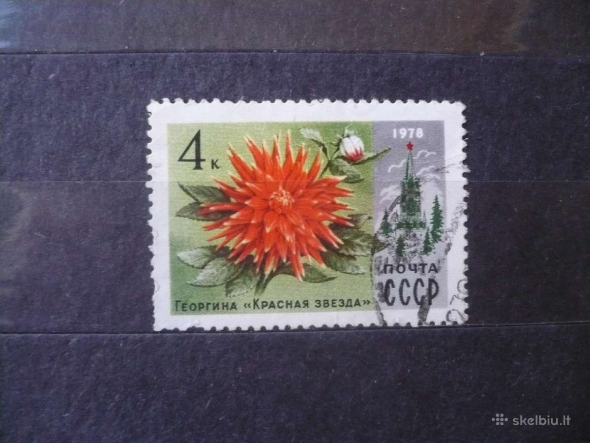 1978 m. Maskvos gėlės ir pastatai