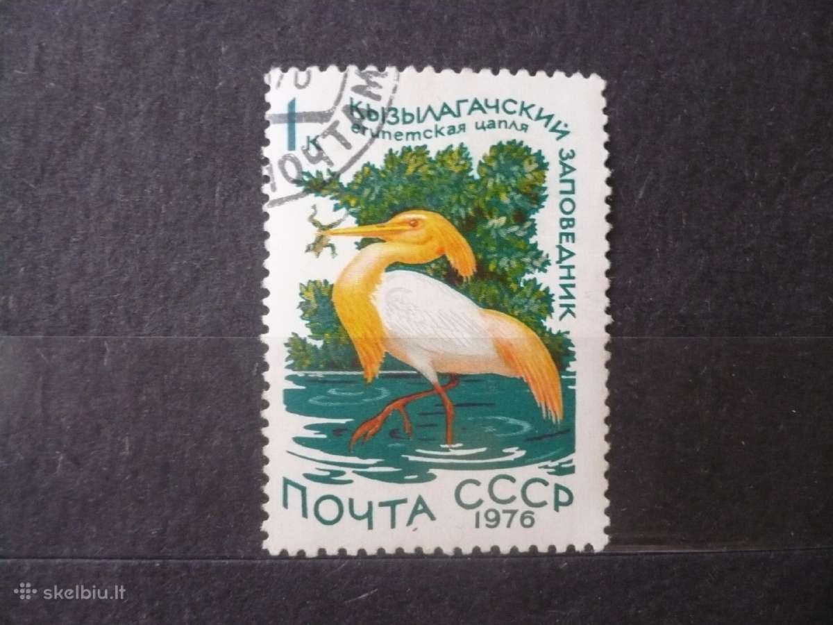 1976 metų vandens paukščiai