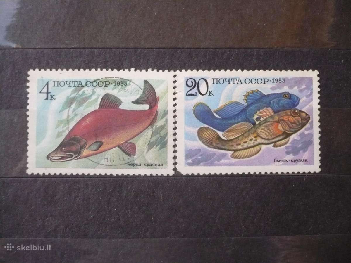 1983 Žuvys
