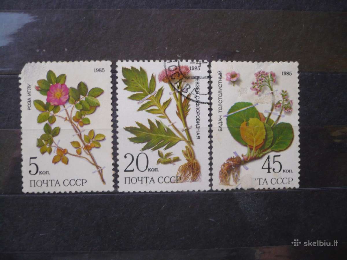 1985 Sibiro augalai
