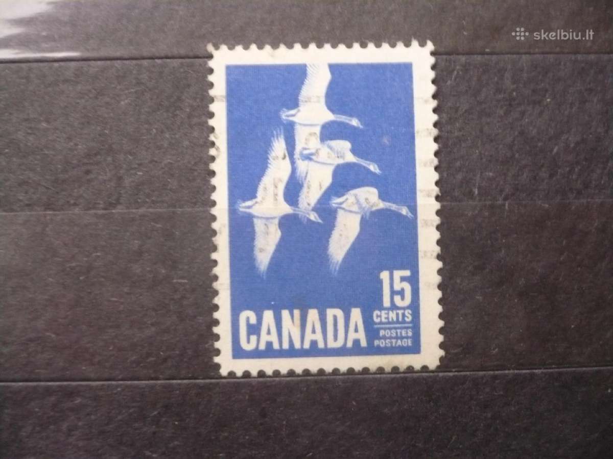 1963 m. Kanados žąsys