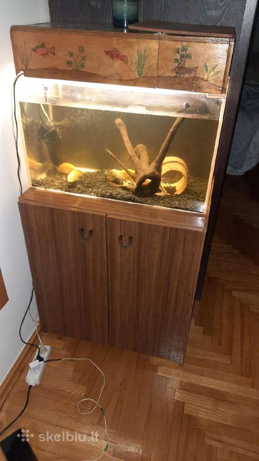 Akvariumas +spintelė +apšvietimas - nuotraukos Nr. 2