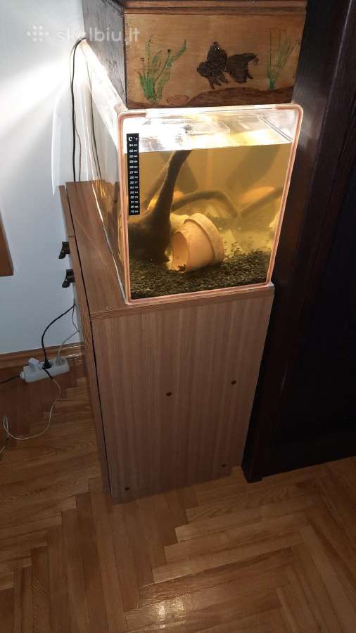 Akvariumas +spintelė +apšvietimas - nuotraukos Nr. 3