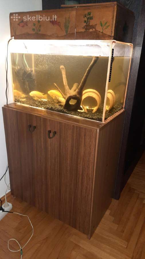 Akvariumas +spintelė +apšvietimas