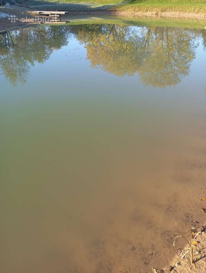 1,33ha sklypas prie Šiaulių jūros - nuotraukos Nr. 26
