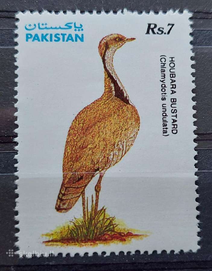Pakistanas 1991 paukštis, švarus Michel 830