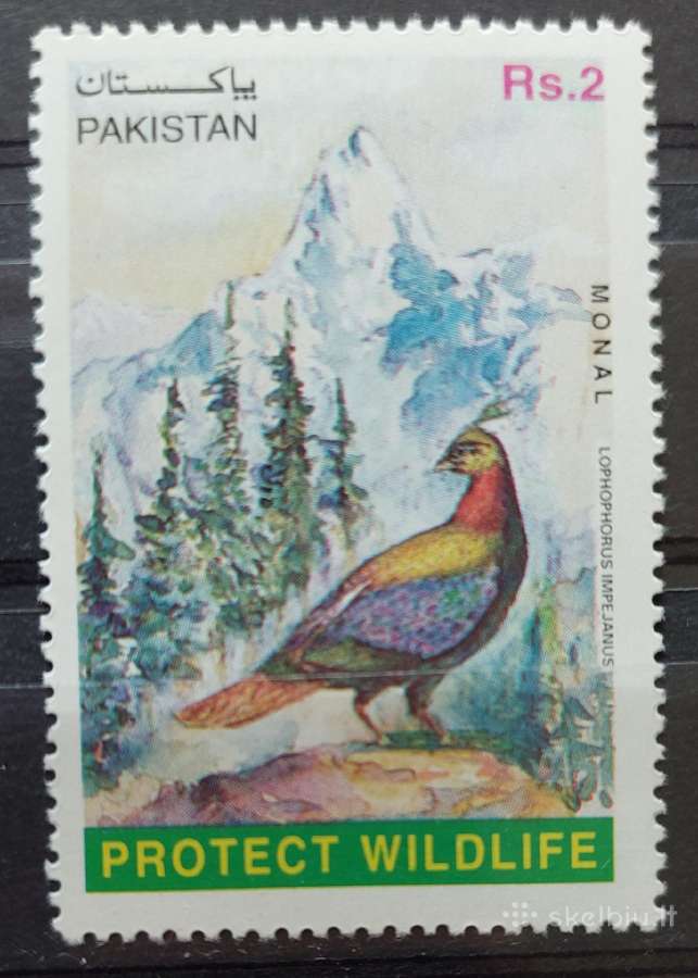 Pakistanas 1997 paukštis, švarus Michel 992