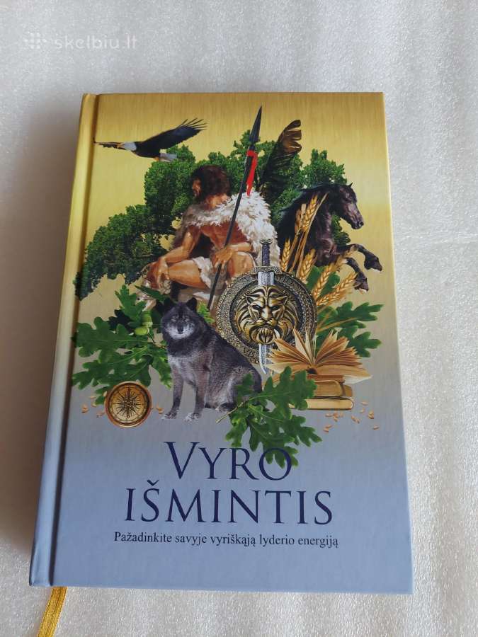 Vyro išmintis