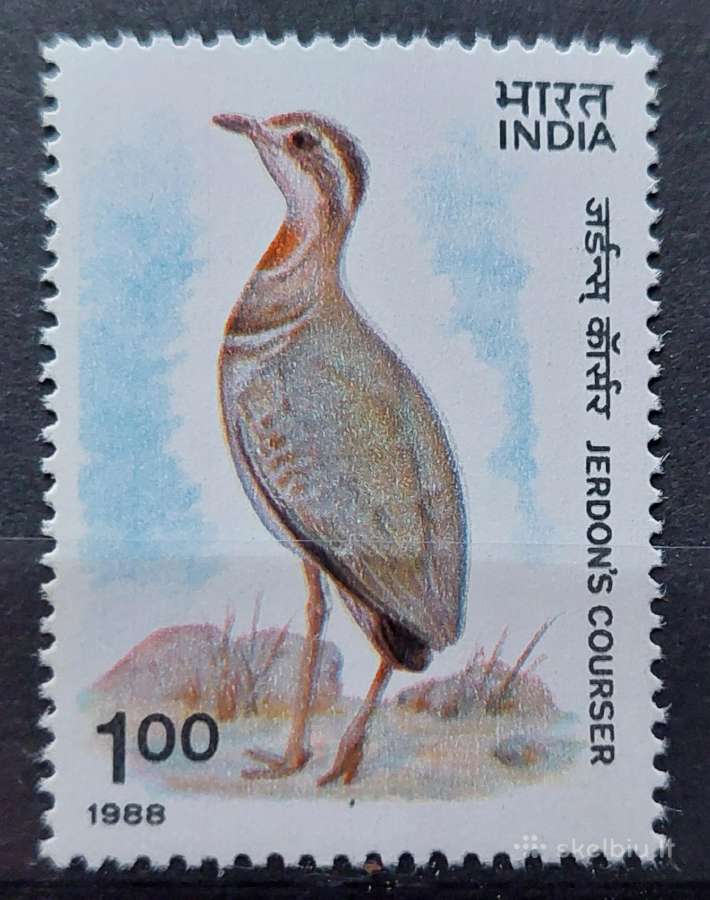 Indija 1988 paukštis, švarus,michel 1183