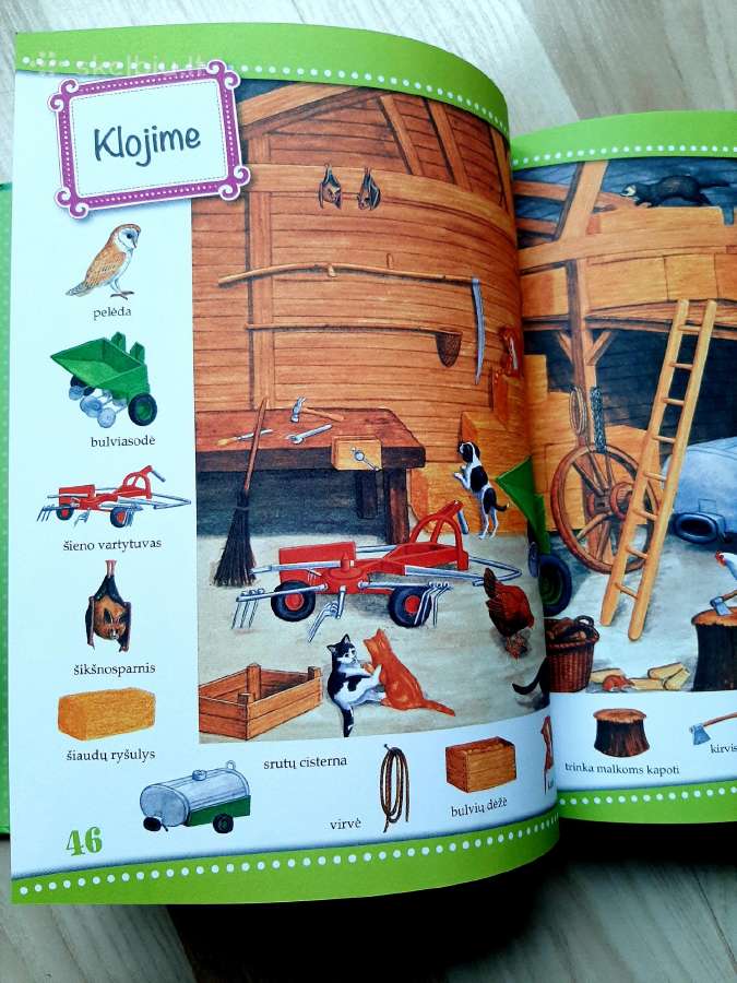"Dičkiai su galva, mažiukai irgi nepėsti" - nuotraukos Nr. 2