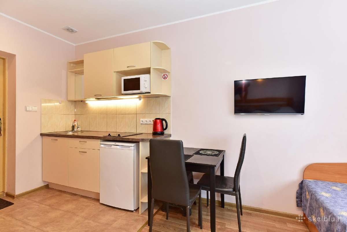 Druskininkų centre jaukus butas studija - nuotraukos Nr. 10