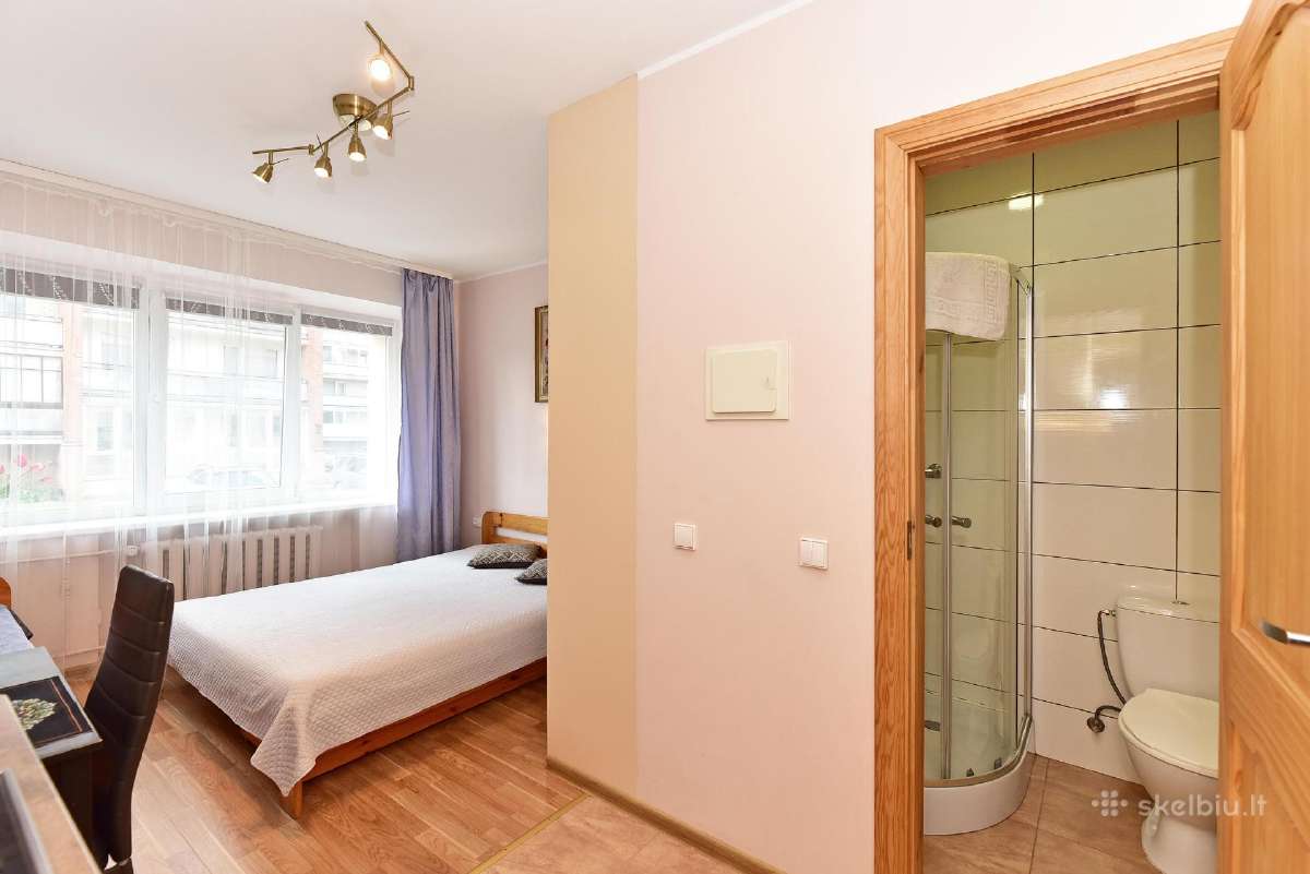 Druskininkų centre jaukus butas studija - nuotraukos Nr. 9