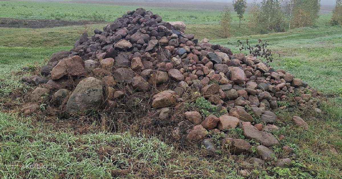 Lauko akmenys - nuotraukos Nr. 29