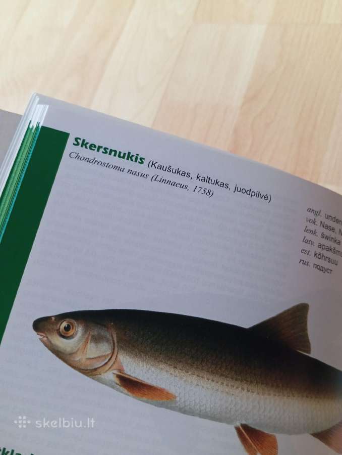 Knyga Gėlavandenės žuvys - nuotraukos Nr. 3