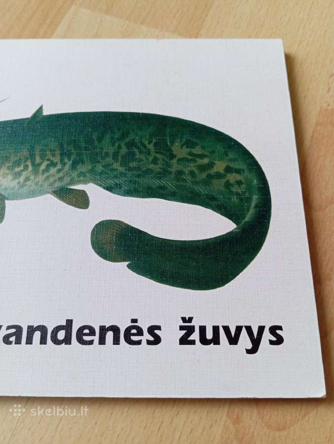 Knyga Gėlavandenės žuvys - nuotraukos Nr. 6