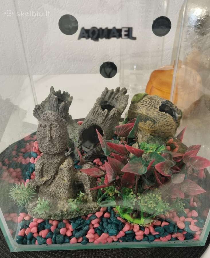 Akvariumas 20l su įranga