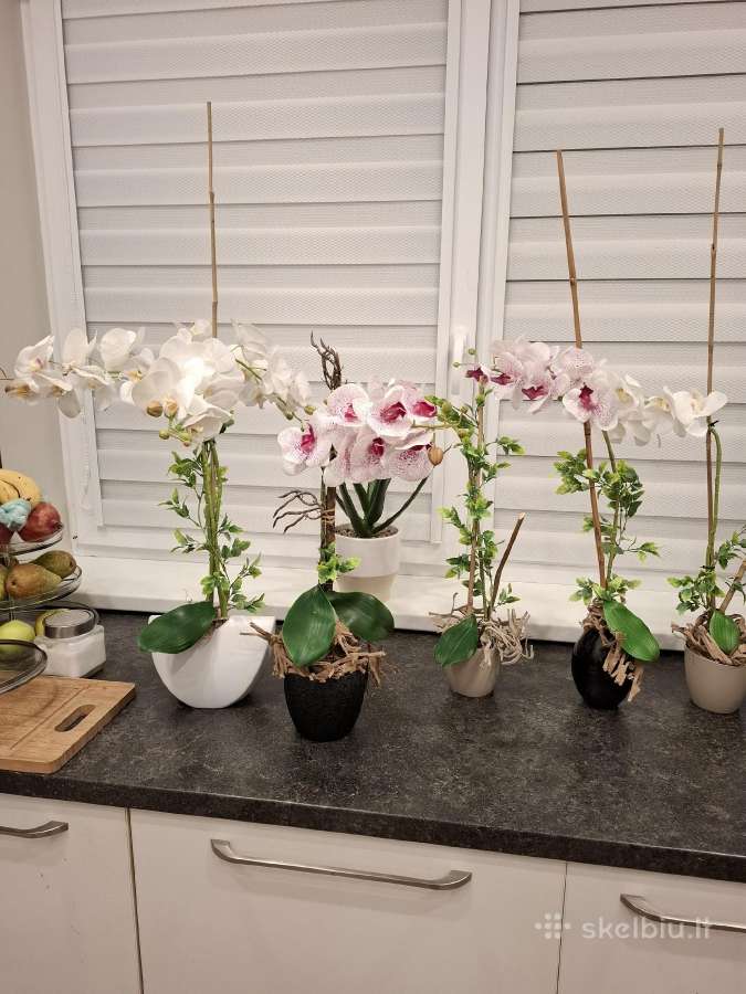 Dirbtinių orchidėjų puokštės
