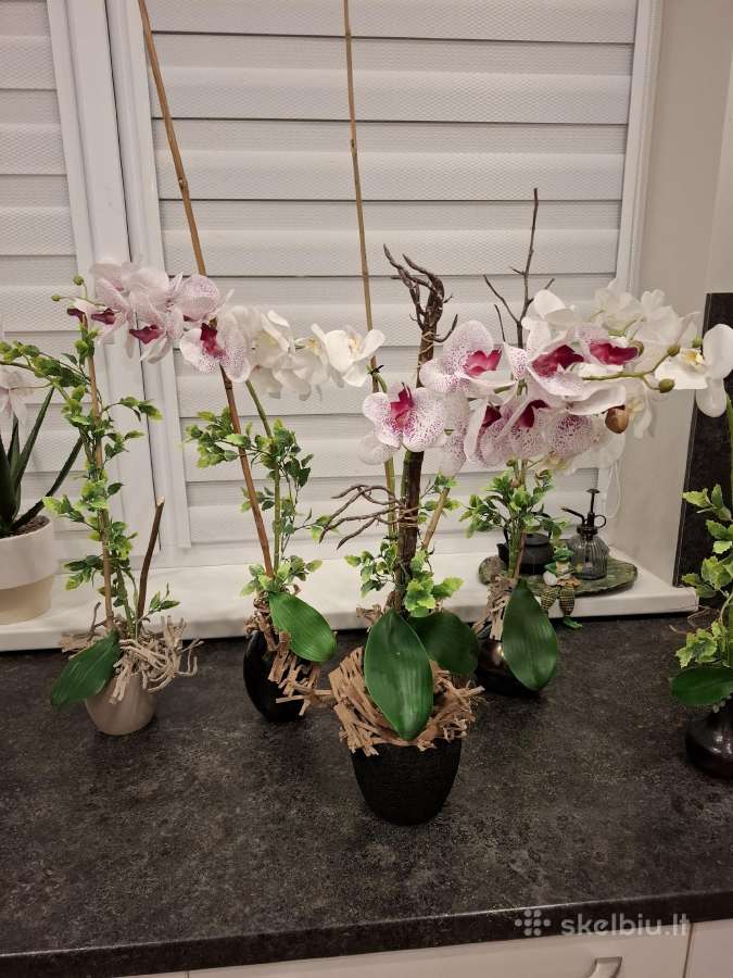 Dirbtinių orchidėjų puokštės - nuotraukos Nr. 3
