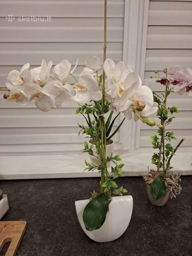 Dirbtinių orchidėjų puokštės - nuotraukos Nr. 5