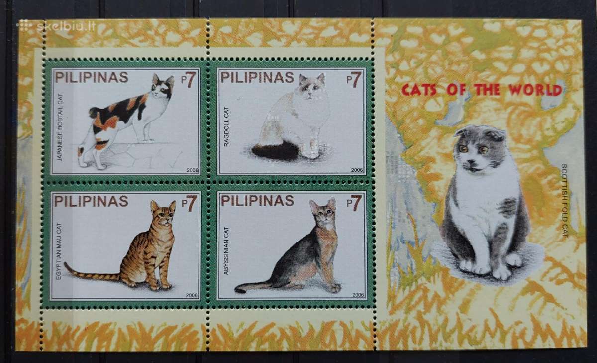 Filipinai 2006 katės, švarus Michel block230