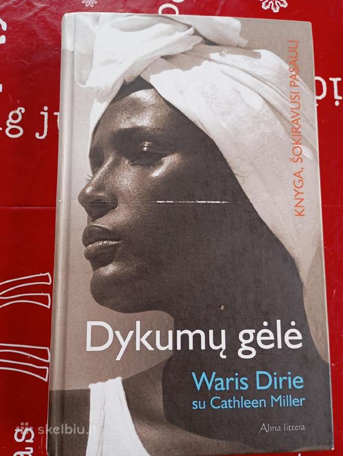 Dykumu gele