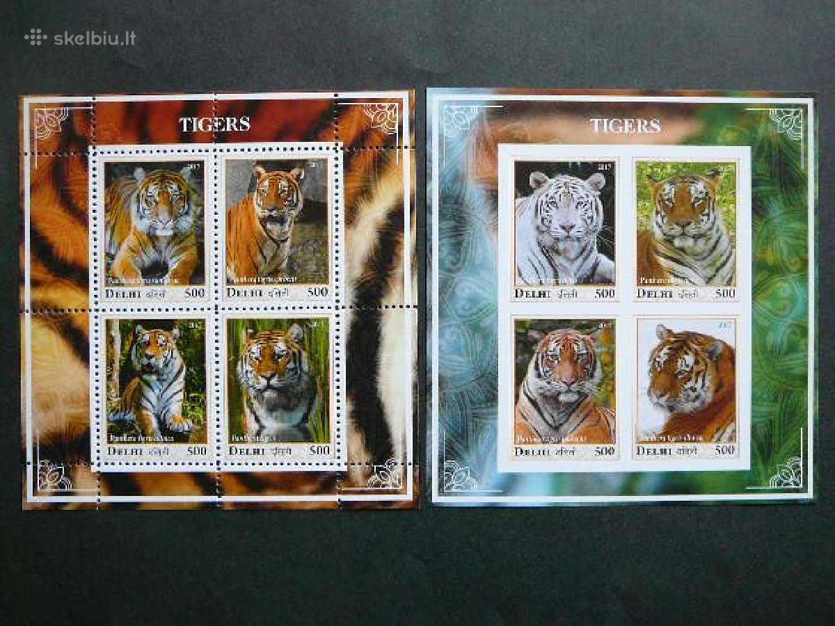 Tigrai Kates laukines Delhi (In) 2017 Mnh ind31