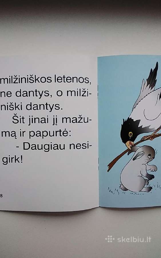Zuikis pagyrūnas - nuotraukos Nr. 3
