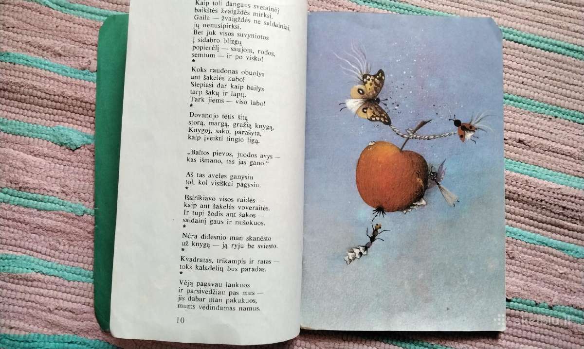 Žalioji poliklinika Eduardas Mieželaitis - nuotraukos Nr. 3
