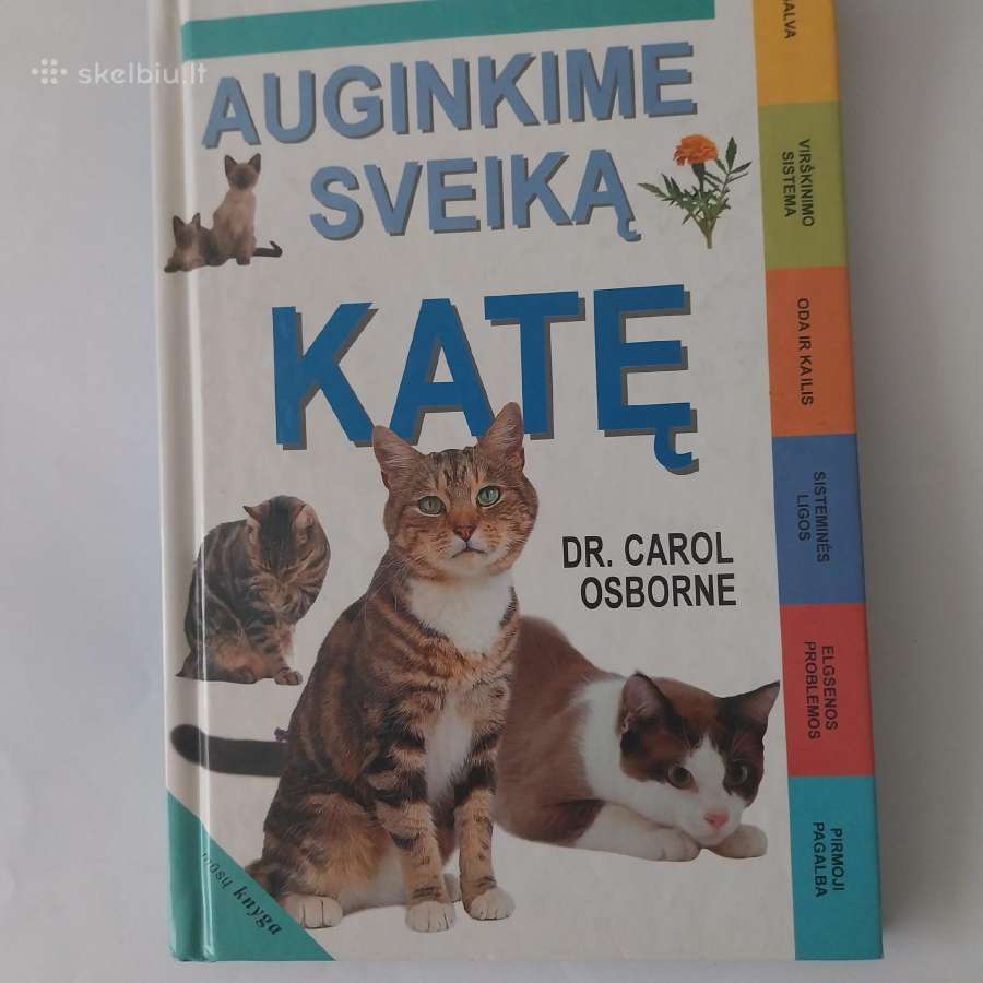 Knyga