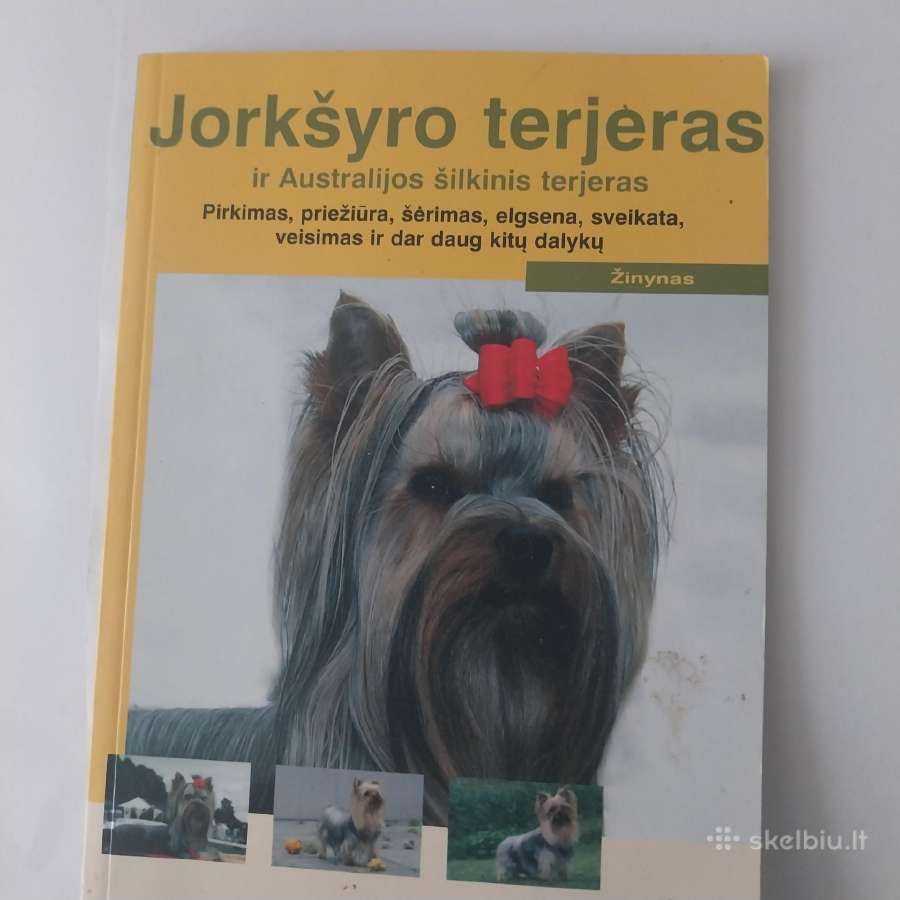 Knyga