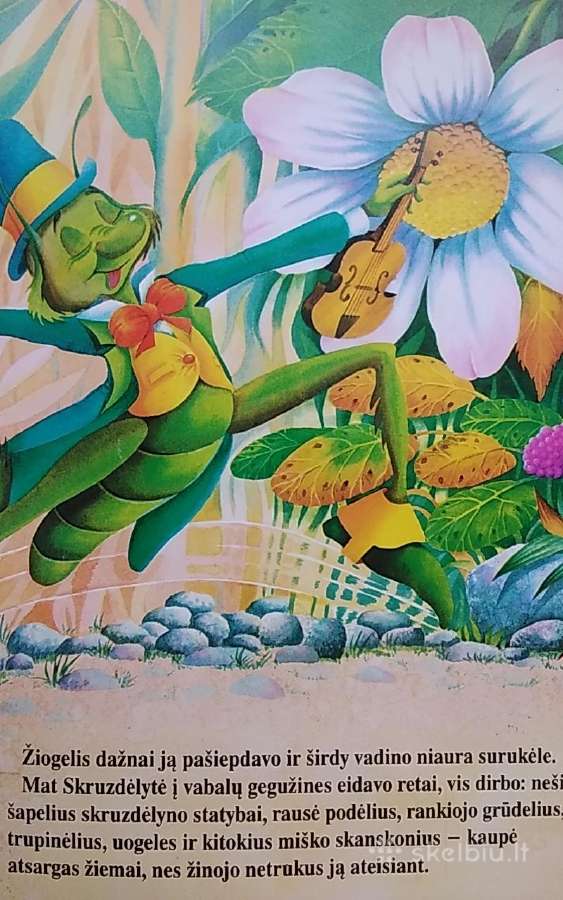 Skruzdė ir žiogas - nuotraukos Nr. 2