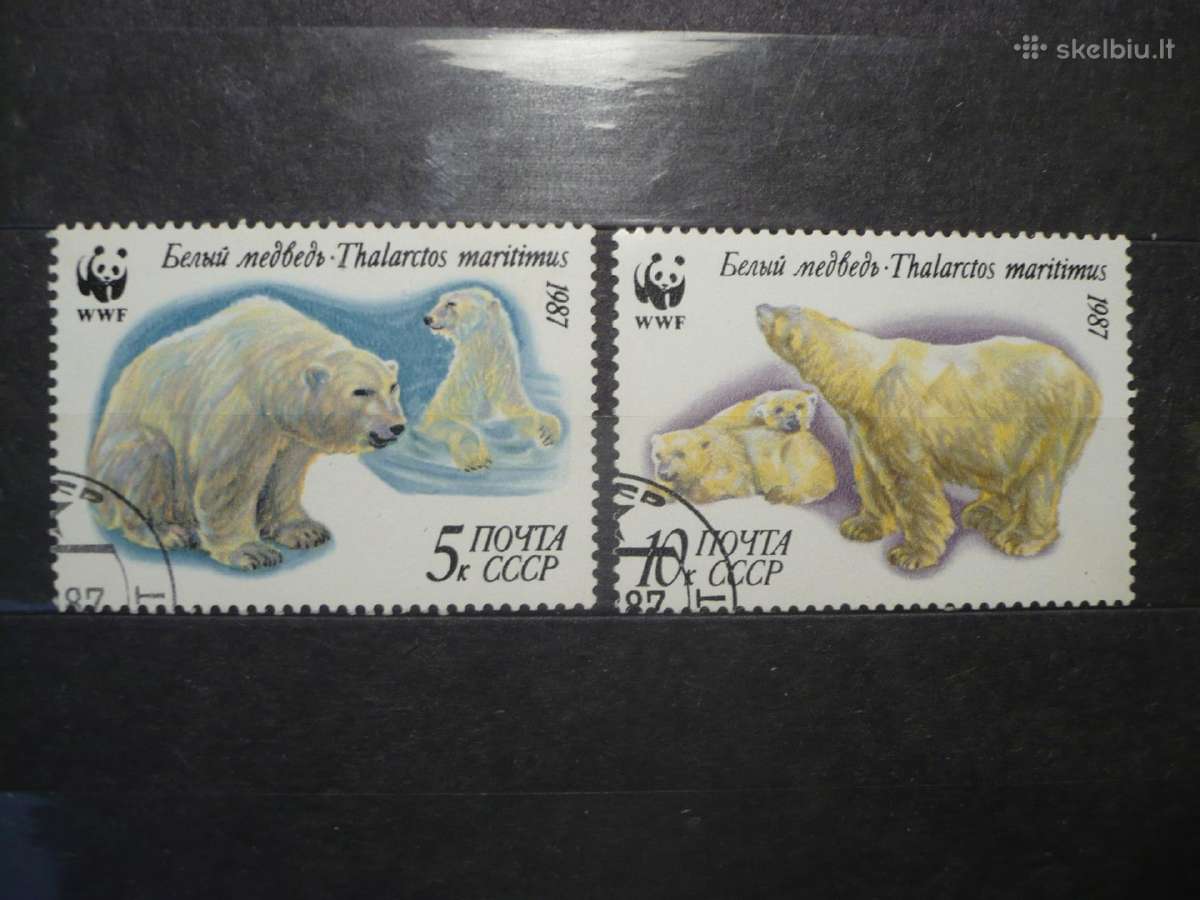 1987 m. Baltieji lokiai