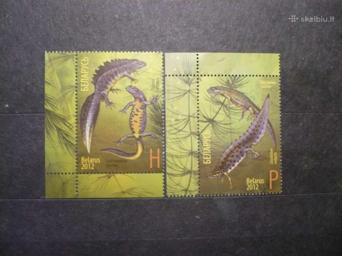 2012 m. Tritonai – Bendra problema su Rusija Mhn