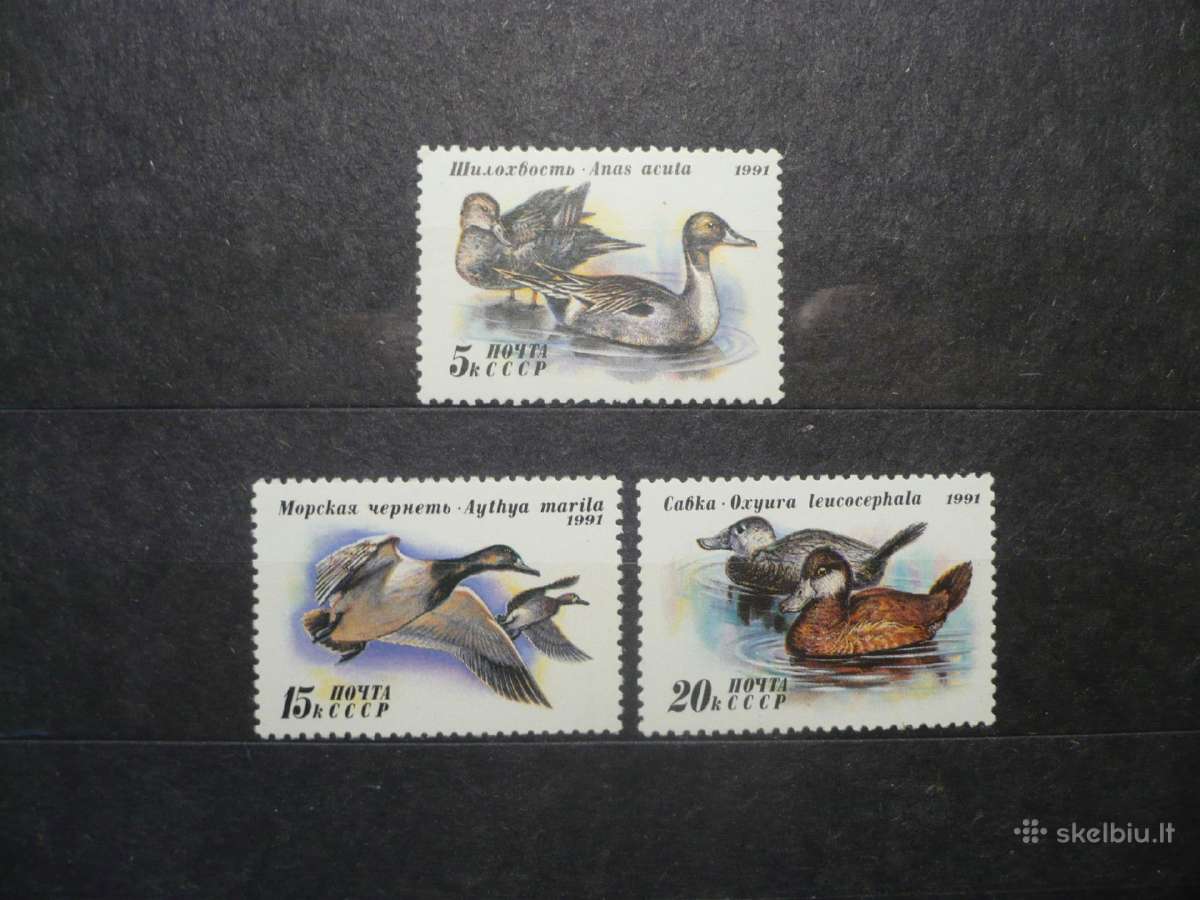 1991 Antys Mnh