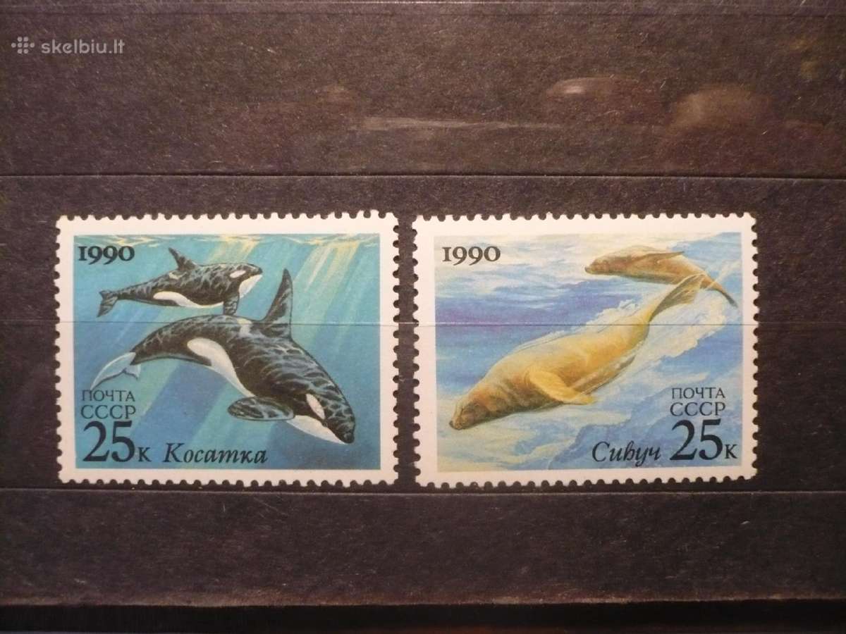 1990 m. Jūrų žinduoliai Mhn