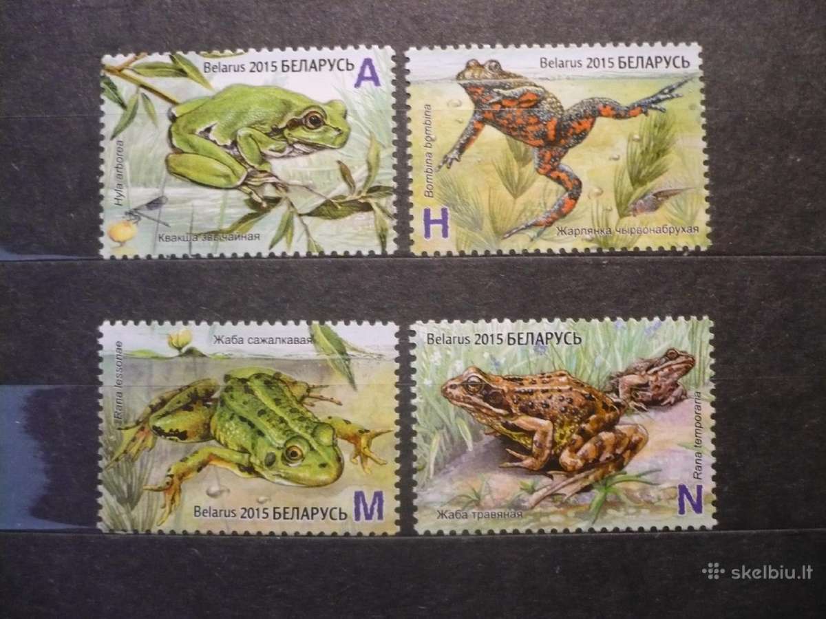 2015 Fauna – varliagyviai Mhn