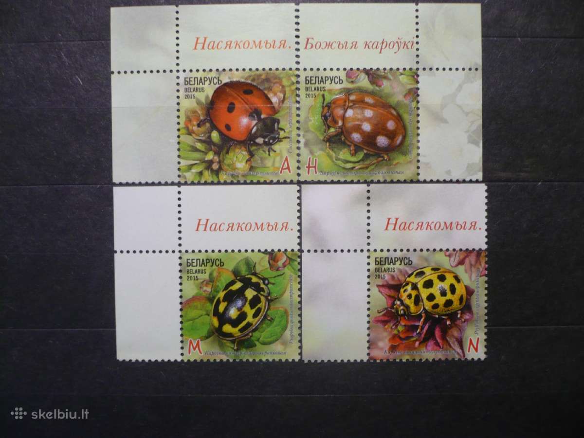 2015 Vabzdžiai – Boružėlės Mhn