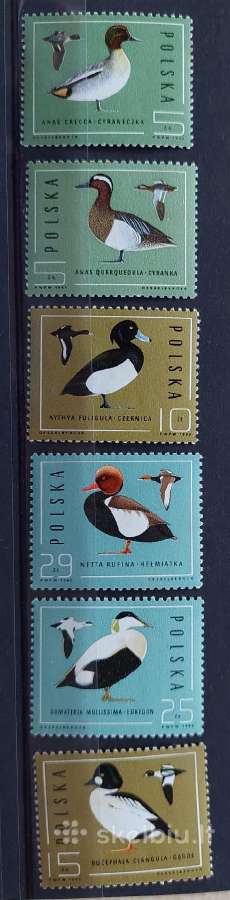 Lenkija 1985 paukščiai, švarus, Michel 2998-3003