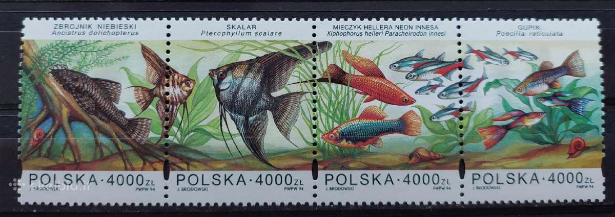 Lenkija 1994 žuvis, švarus, Michel 3505-3508