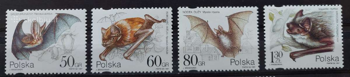 Lenkija 1997 šikšnosparniai, švarus, Michel 3656-3